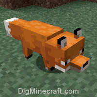Nbt s For Fox In Minecraft Java Edition 1 16