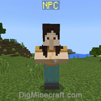 Npc In Minecraft