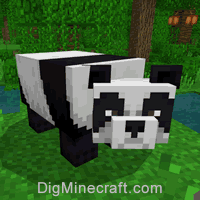 How To Summon A Panda In Minecraft