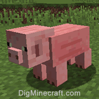 Ow To Turn A Pig Into A Zombified Piglin In Minecraft