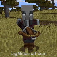 NBT Tags for Endermite in Minecraft (Java Edition 1.16/1.17/1.18