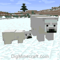Polar Bear In Minecraft