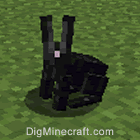 Rabbit - Minecraft Guide - IGN