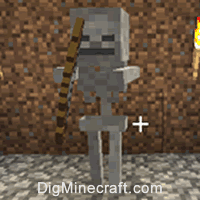 Skeleton In Minecraft