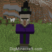 Nbt s For Witch In Minecraft Java Editon 1 16 1 17 1 18