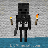 Wither Skeleton In Minecraft