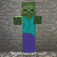 Nbt s For Zombie In Minecraft Java Edition 1 16