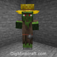 minecraft zombie villager in real life
